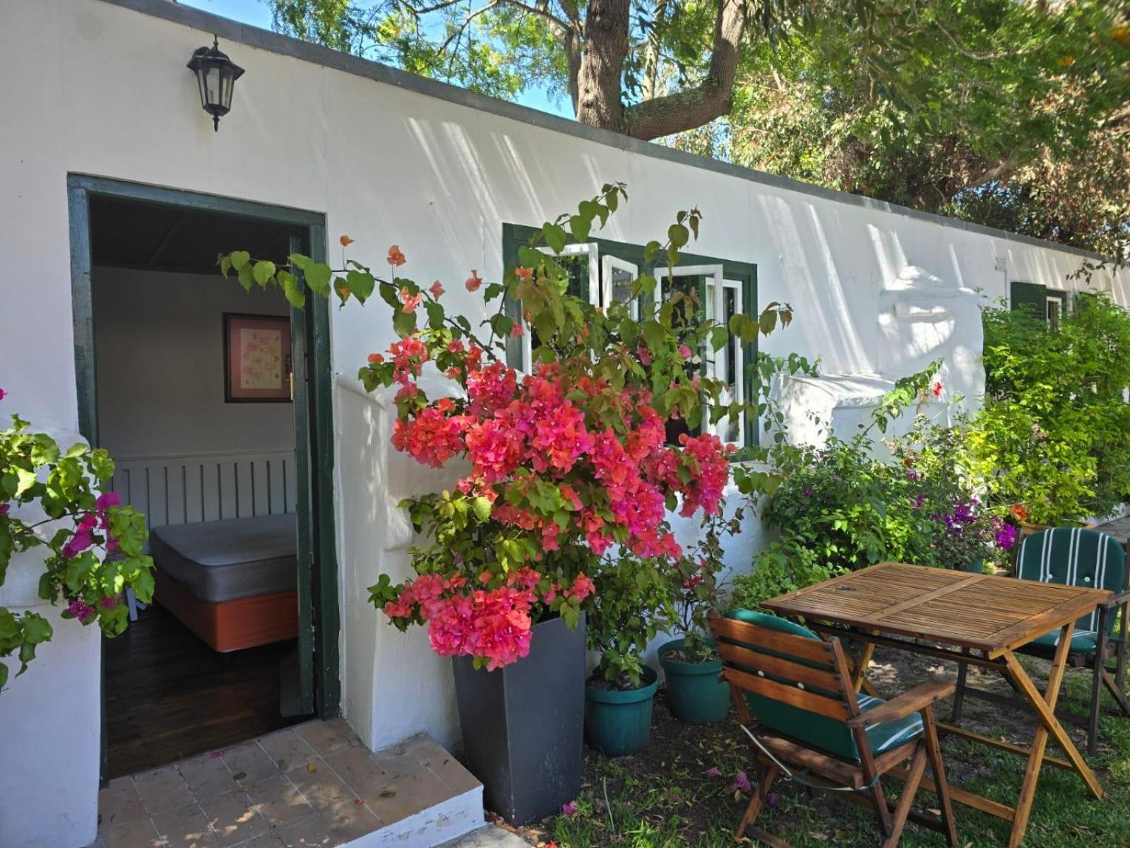 Meyerhof Lägenhet Kapstaden Rum bild