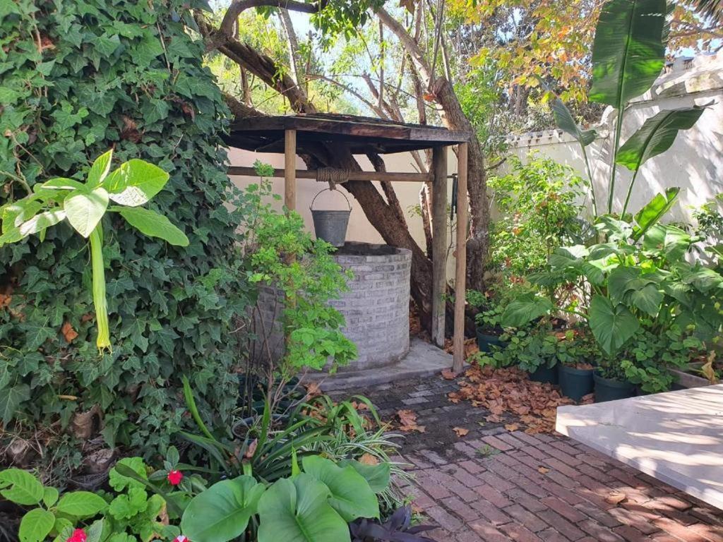 Meyerhof Lägenhet Kapstaden Exteriör bild